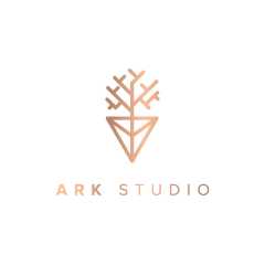 Ark Studio
