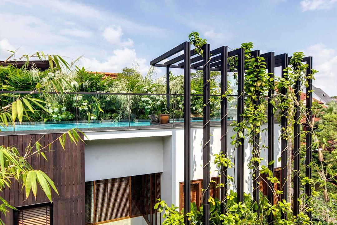 Merryn, Aamer Architects, Contemporary, Landed, Glass Barricade, Swimming Pool, Greenery, Black Shelter Beams, Shelter Beams, Flora, Ivy, Plant, Vine
