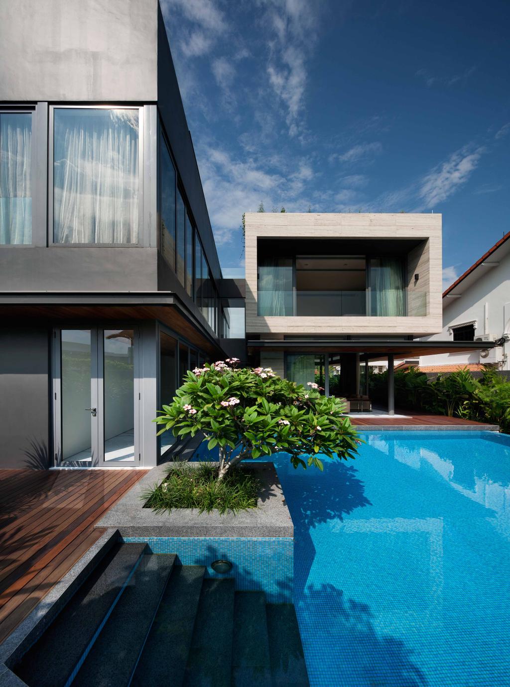 Minimalist, Landed, Serangoon (Travertine Dream House), Architect, Wallflower Architecture + Design, Square Architecture, Black Wall, Plants, Steps, Wooden Flooring, Indoor Pool, House Pool, Private Pool, Pool, Porch, Bonsai, Flora, Jar, Plant, Potted Plant, Pottery, Tree, Vase, Architecture, Building, Housing