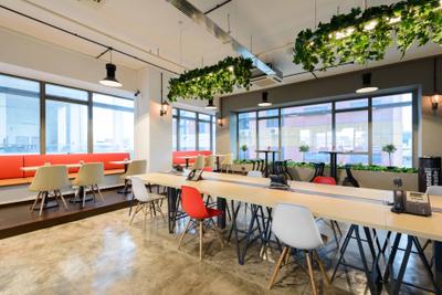 Harission Road, Starry Homestead, Scandinavian, Commercial, Hanging Plant, Ceiling Hanging Plants, Plants, Bright, Pendant Lights, Open Workspace, Open Concept Workspace, White Chair, Pink Chairs, Colourful Chairs, Working Table, Chair, Furniture, Flora, Jar, Plant, Potted Plant, Pottery, Vase