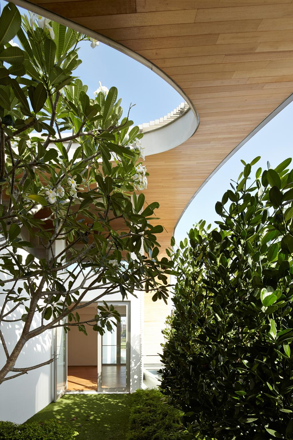Modern, Landed, Cove Drive 2, Architect, Greg Shand Architects, Open Roof, Planted Trees, Wood Ceiling, Flora, Jar, Plant, Potted Plant, Pottery, Vase, Herbs, Parsley, Planter
