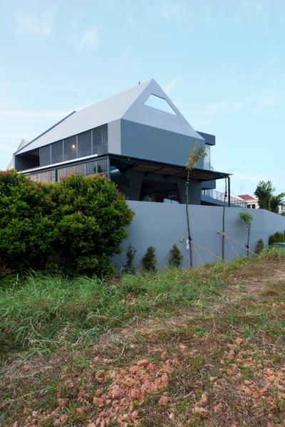 S House, Czarl Architects, Contemporary, Landed, Conifer, Flora, Plant, Tree, Yew