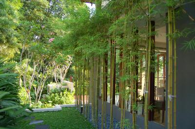 Mount Echo Park, Timur Designs, Contemporary, Landed, Bamboo, Flora, Plant, Porch, Jar, Potted Plant, Pottery, Vase