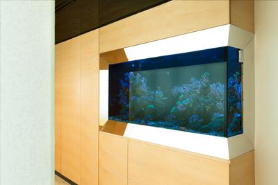 Patrick Office, KAIA Architects, Eclectic, Commercial, Animal, Aquarium, Sea Life, Water, Electronics, Entertainment Center