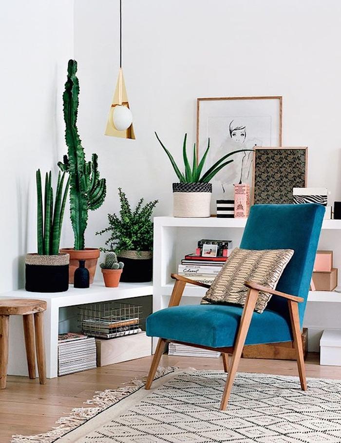 Plants-Interior-Living-Room