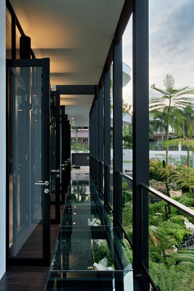 Toh Heights, Kite Studio Architecture, Contemporary, Landed, Fern, Flora, Plant, Arecaceae, Palm Tree, Tree