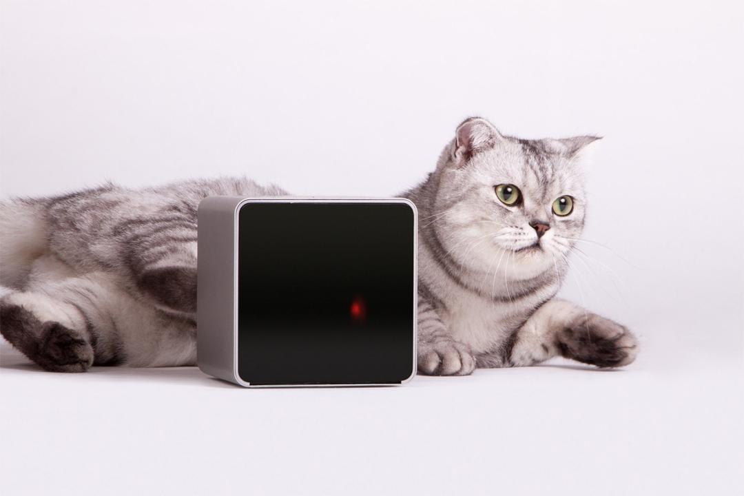 Pet Products Smart Home