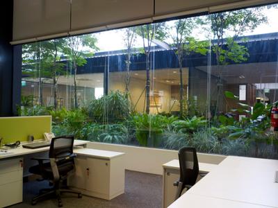 HG Metal HQ & Warehouse, The Design Abode, Minimalist, Commercial, Roller Chairs, Plants, Blinds, Glass Window, Lockers, Desk, Flora, Jar, Plant, Potted Plant, Pottery, Vase, Dill, Food, Seasoning