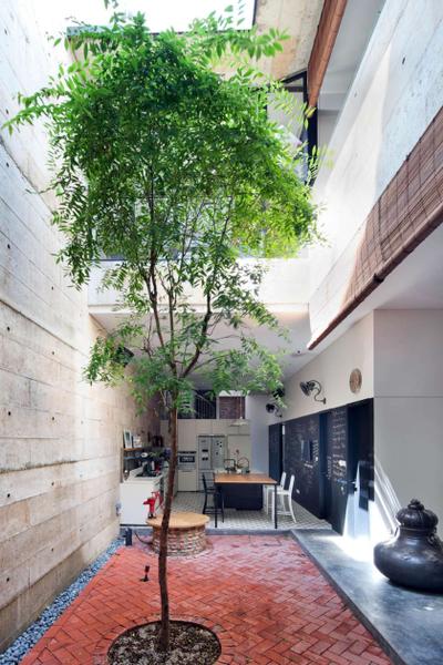 Neil Road Shophouse, The Design Abode, Traditional, Garden, Landed, Plants, Trees, Bright, Natural Light, Dill, Flora, Food, Plant, Seasoning