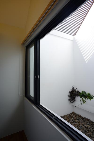 Jalan Sejarah, The Design Abode, Modern, Landed, Window, Flora, Ivy, Plant
