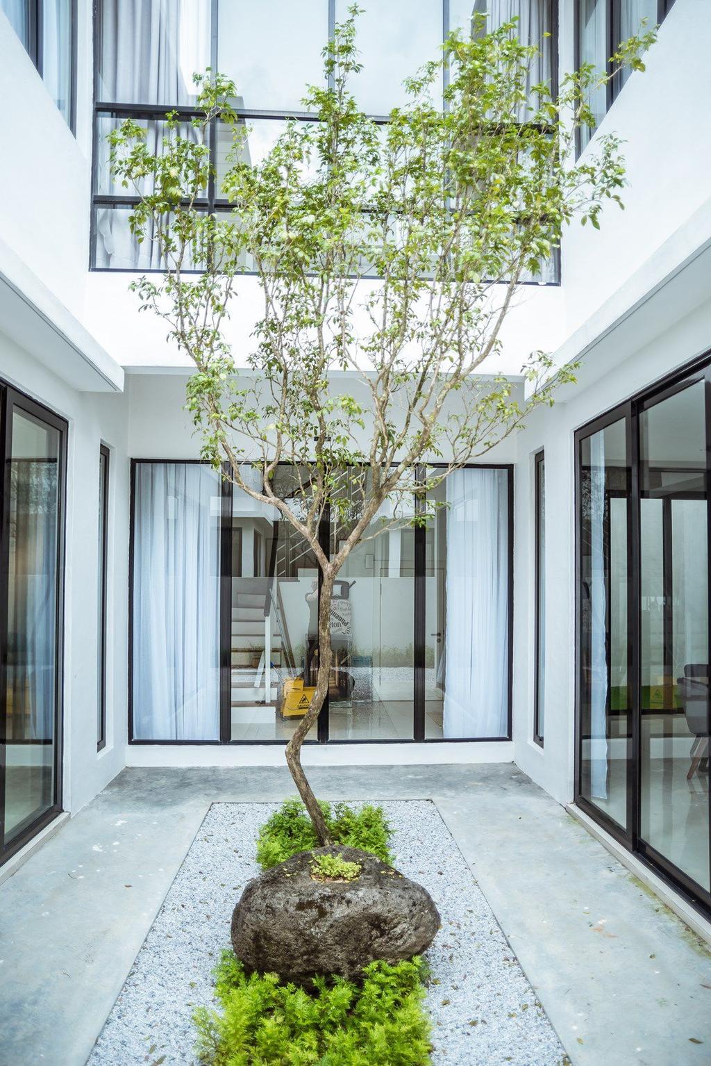 Contemporary, Landed, Garden, The Enclave, Ipoh, Architect, Code Red Studio, Airwell, Porch, Bonsai, Flora, Jar, Plant, Potted Plant, Pottery, Tree, Vase