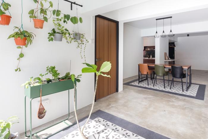 use plants as home decor