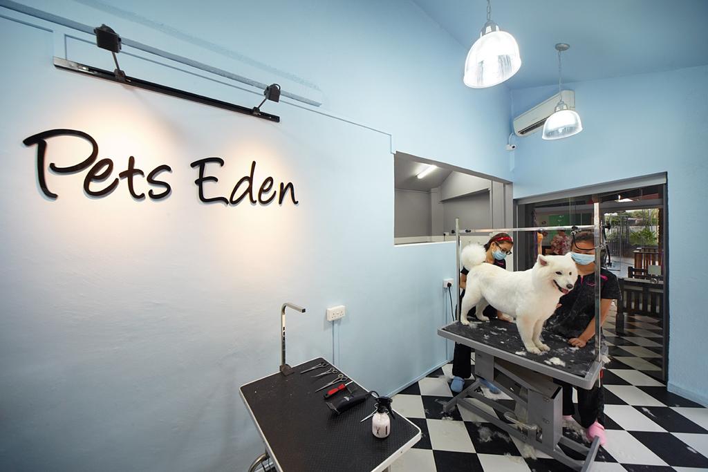 Pets Eden, Commercial, Interior Designer, IB Interior, Eclectic