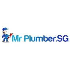 Mr Plumber Singapore 2