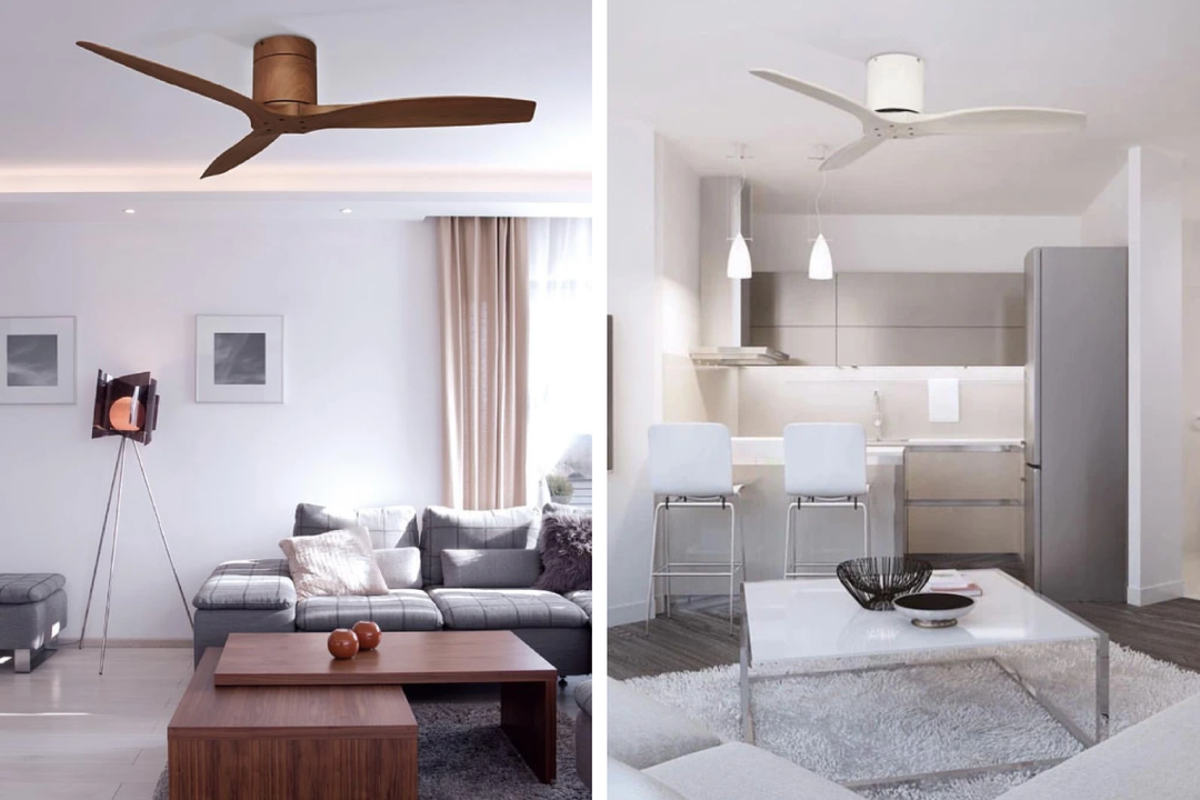 Standing fan or ceiling fan
