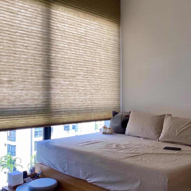 TOSO Pleated Blinds 1