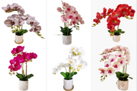 Indoor Artificial Plants (The Orchid Series) 1