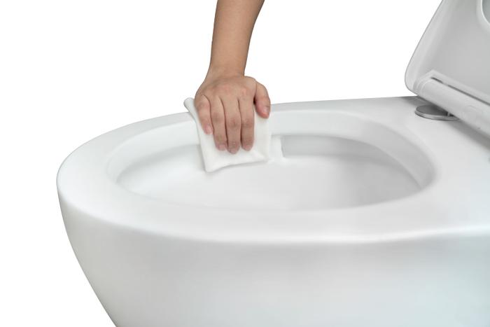 buying a toilet bowl