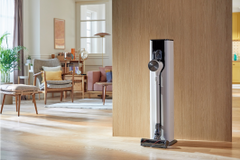 Busy Bees, This Vacuum Duo Makes Cleaning Your Home a Breeze