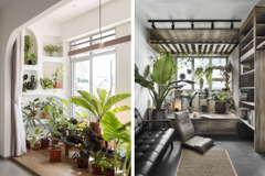 6 Simple Ways to Carve Out a Tiny Oasis at Home with Houseplants