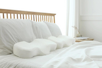 Ergoworks Dual Plus Perfect Sleep Pillow 1