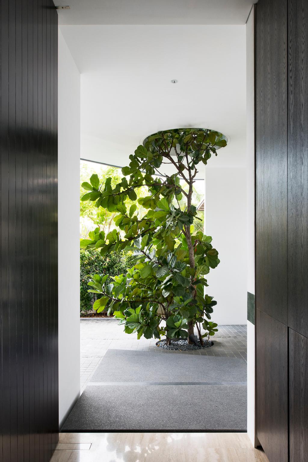 Traditional, Landed, Garden, 30 Ripley Crescent, Architect, 7 Interior Architecture, Walkway, Entryway, Trees, Plants, Bonsai, Flora, Jar, Plant, Potted Plant, Pottery, Tree, Vase, Vine